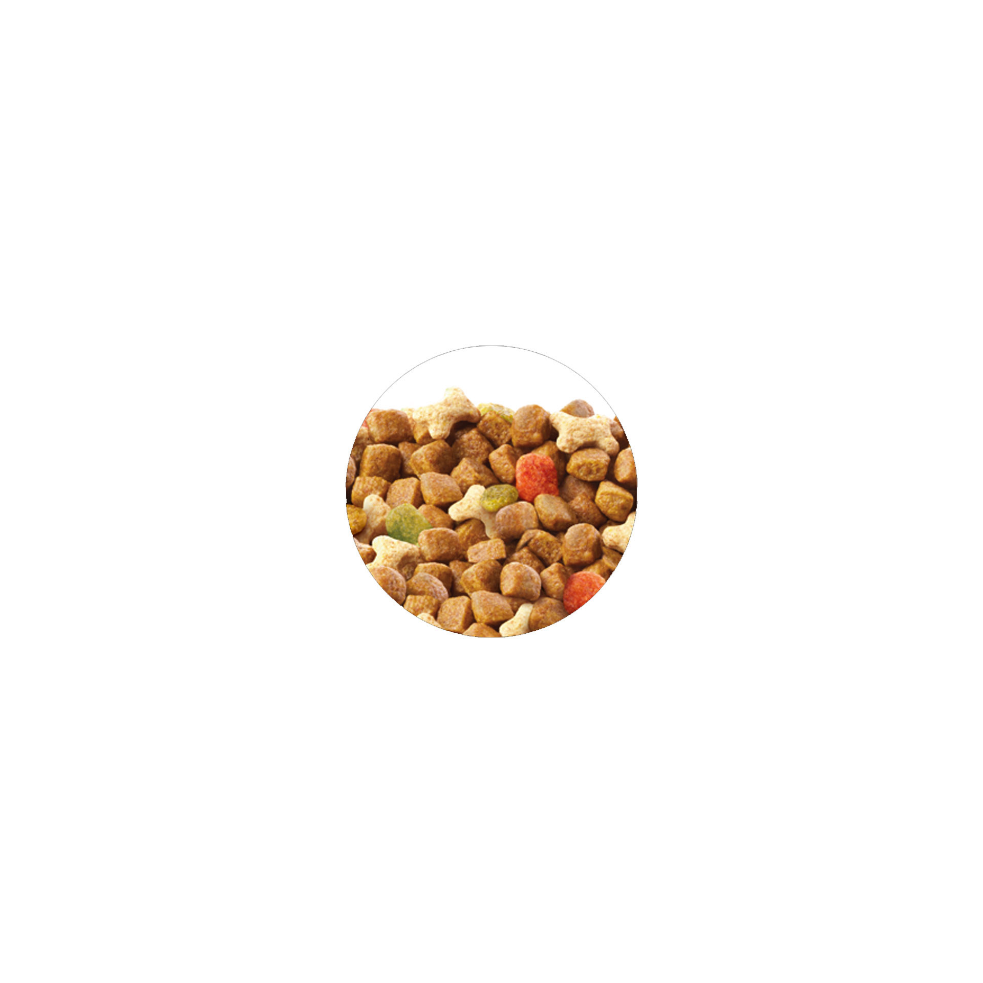 Purina Friskies Ração para Cachorro Frango, Leite e Vegetais 1,5 kg - Image 3